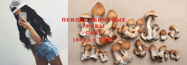 дурь Аркадак