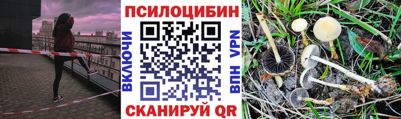 Галлюциногенные грибы мицелий  Семикаракорск 